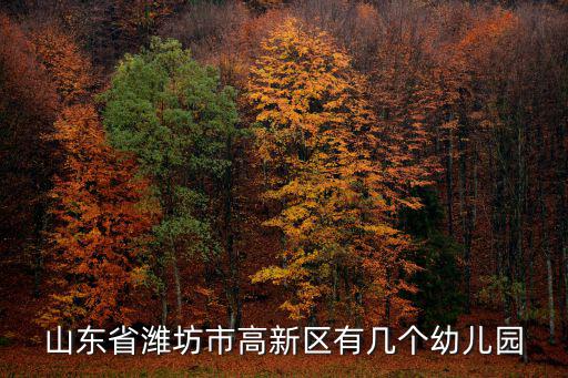 山東省濰坊市高新區(qū)有幾個幼兒園