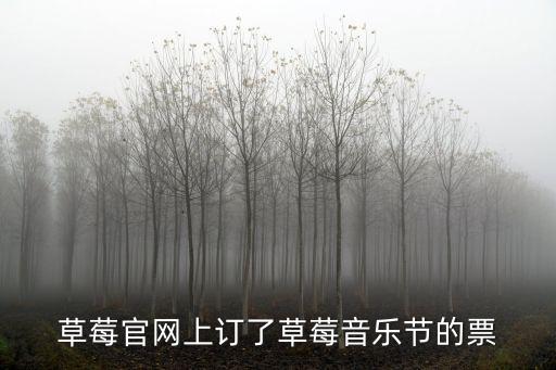 草莓官網上訂了草莓音樂節(jié)的票