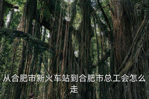 從合肥市新火車站到合肥市總工會怎么走