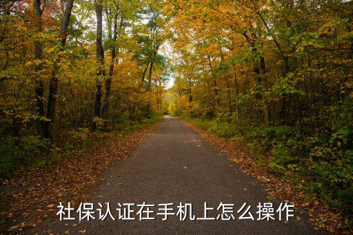 社保卡怎么認證，社保卡怎么認證 社保卡如何認證