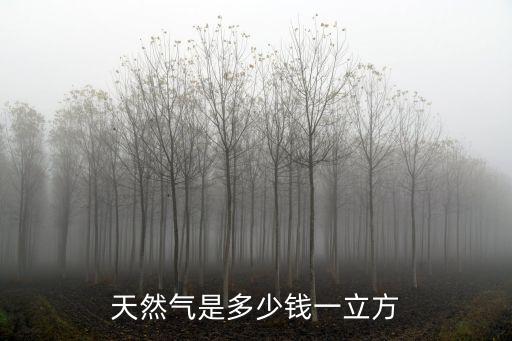 天然氣是多少錢一立方