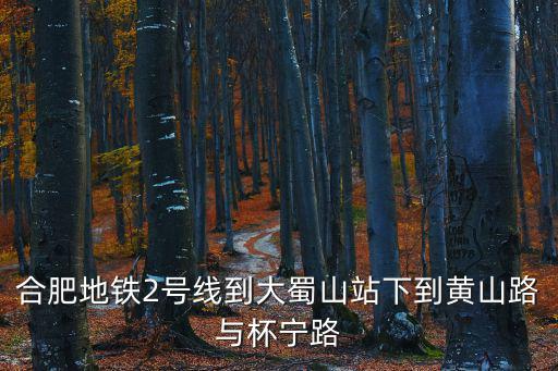 合肥地鐵2號線到大蜀山站下到黃山路與杯寧路