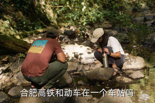合肥站有高鐵嗎，請問下合肥高鐵和合肥火車站是在一起的嗎 還有杭州南高鐵和杭州