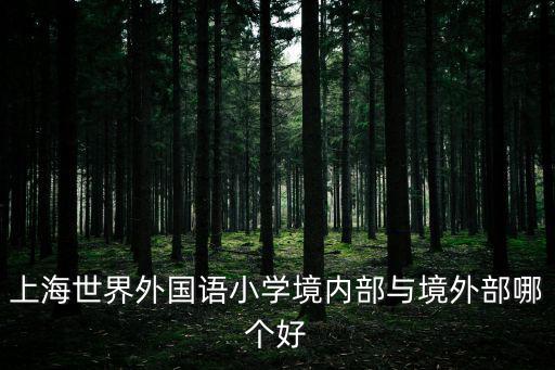 上海世界外國語小學境內部與境外部哪個好