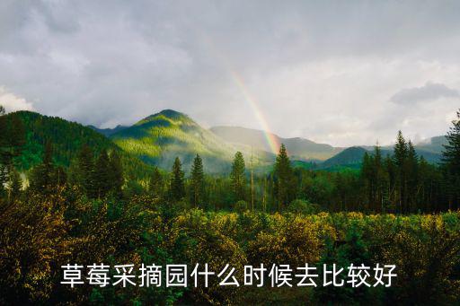 草莓采摘園什么時候去比較好