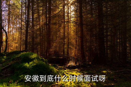 安徽到底什么時候面試呀