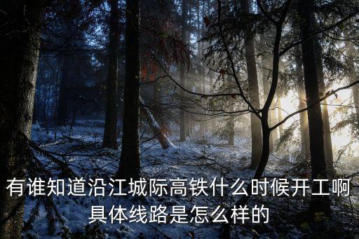 有誰知道沿江城際高鐵什么時候開工啊具體線路是怎么樣的