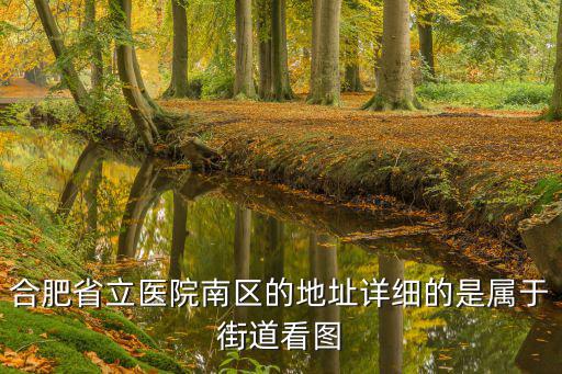 合肥省立醫(yī)院南區(qū)的地址詳細(xì)的是屬于街道看圖