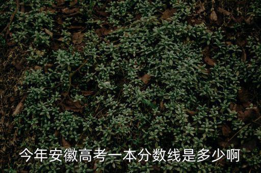 安徽高考分?jǐn)?shù)線，今年安徽高考一本分?jǐn)?shù)線是多少啊