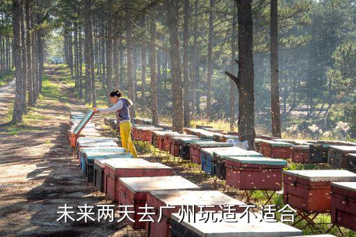 未來兩天去廣州玩適不適合