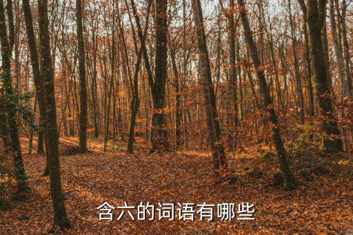 含六的詞語(yǔ)有哪些