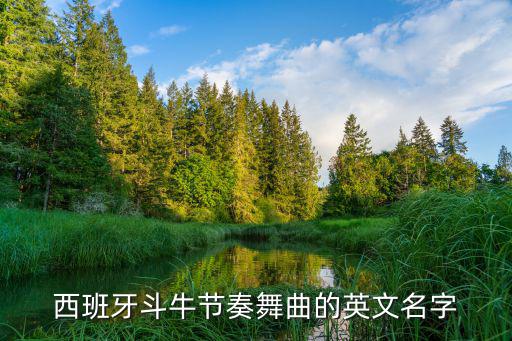 斗牛舞曲，有誰知道拉丁舞中最常用的那首斗牛舞的舞曲名字