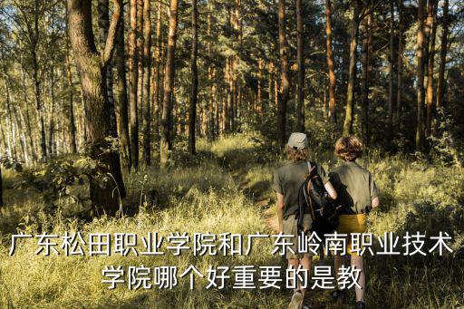 廣東松田職業學院和廣東嶺南職業技術學院哪個好重要的是教