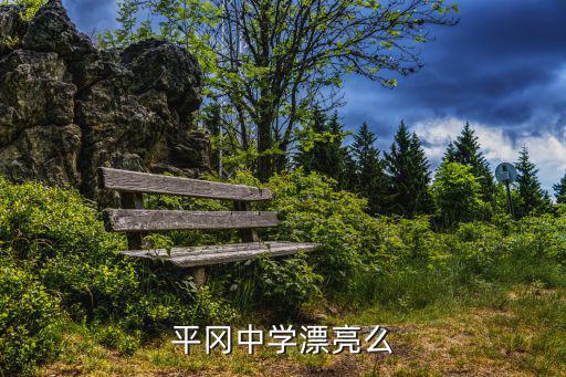 深圳市平岡中學(xué)，平岡中學(xué)漂亮么