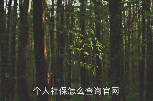 個人社保怎么查詢官網(wǎng)