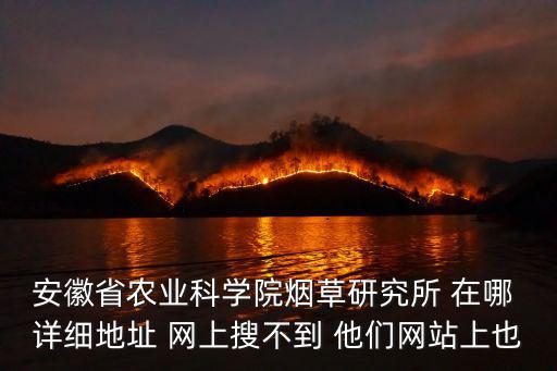 安徽省農業科學院煙草研究所 在哪 詳細地址 網上搜不到 他們網站上也