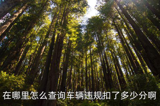 在哪里怎么查詢車輛違規扣了多少分啊
