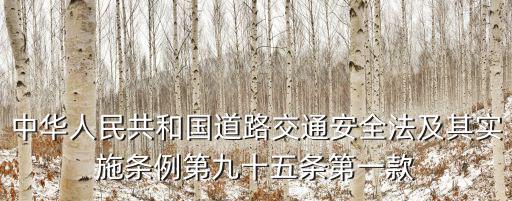 中華人民共和國道路交通安全法及其實(shí)施條例第九十五條第一款