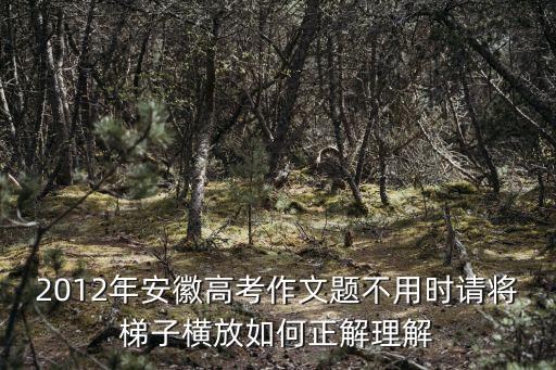 2012年安徽高考作文題不用時請將梯子橫放如何正解理解