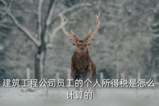 建筑工程公司員工的個人所得稅是怎么計(jì)算的