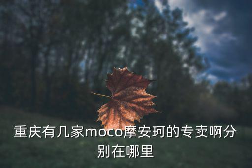 重慶有幾家moco摩安珂的專賣啊分別在哪里