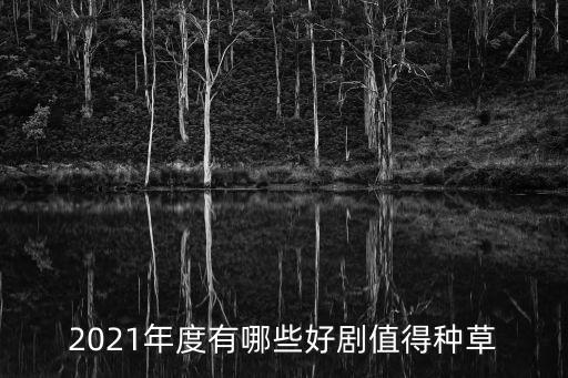 2021年度有哪些好劇值得種草