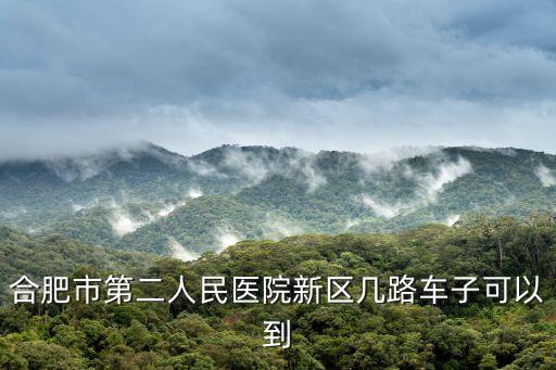 合肥市第二人民醫院，合肥市第二人民醫院新區幾路車子可以到