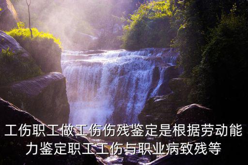 勞動能力鑒定職工工傷與職業病致殘等級，勞動能力鑒定 職工工傷與職業病致殘等級中的X級是什么意思
