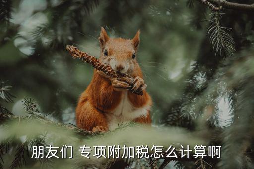 專項附加稅，個稅專項附加扣除包括哪些項目
