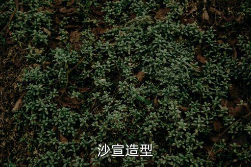 沙宣造型