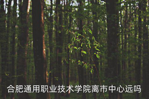 合肥通用職業技術學院離市中心遠嗎