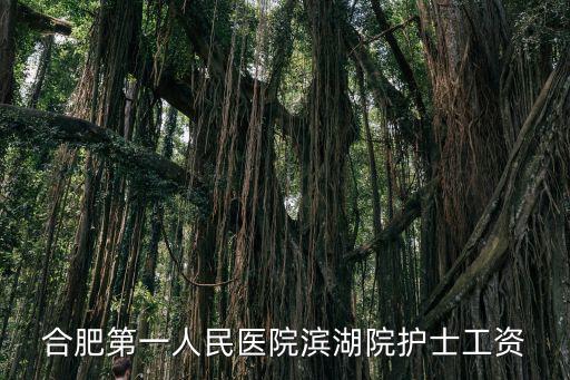 合肥第一人民醫院濱湖院護士工資
