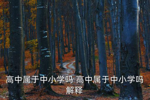 高中屬于中小學嗎 高中屬于中小學嗎解釋