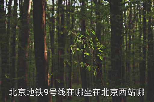 北京地鐵9號線在哪坐在北京西站哪