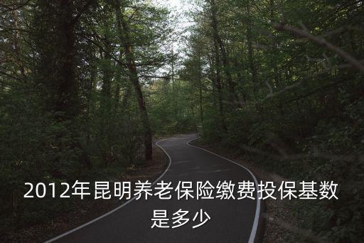 2012年昆明養老保險繳費投保基數是多少