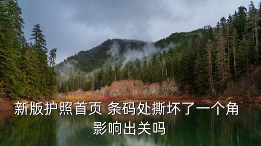 新版護照首頁 條碼處撕壞了一個角 影響出關嗎