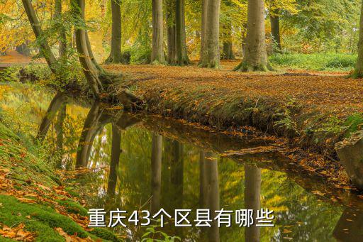 重慶43個區縣有哪些