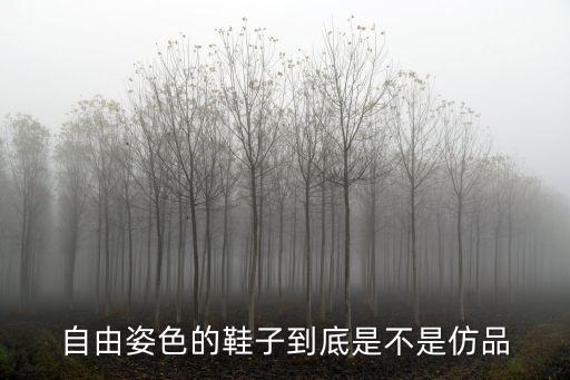 自由姿色的鞋子到底是不是仿品