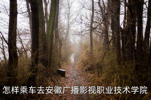 怎樣乘車去安徽廣播影視職業(yè)技術學院