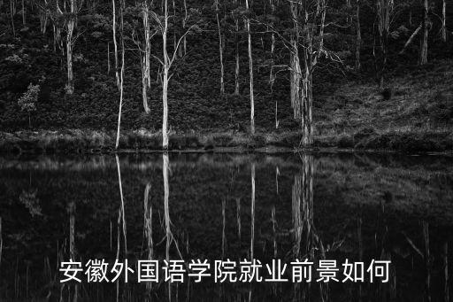 安徽外國語學(xué)院就業(yè)前景如何