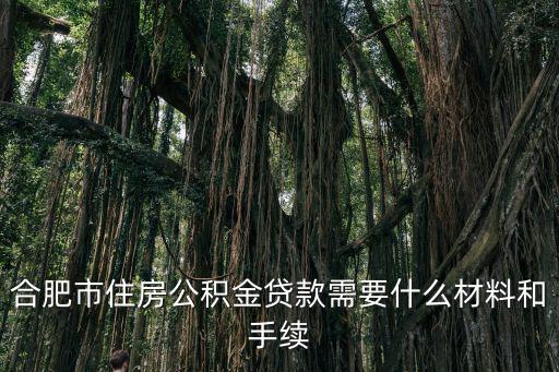合肥市住房公積金貸款需要什么材料和手續