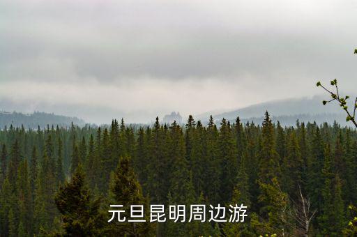 元旦昆明周邊游