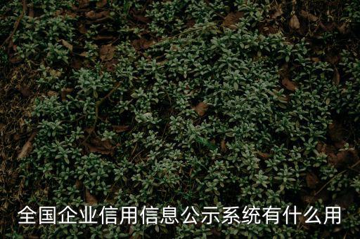 全國企業信用信息公示系統有什么用