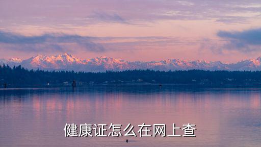 健康證怎么在網(wǎng)上查