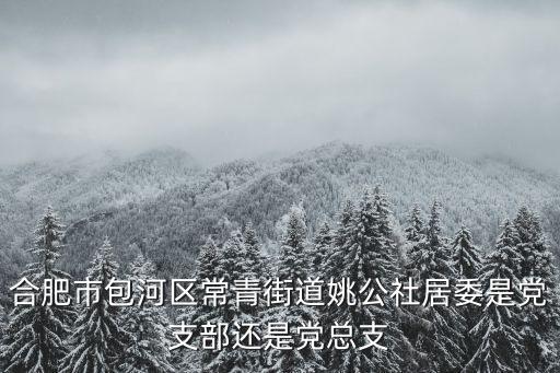 合肥市包河區(qū)常青街道姚公社居委是黨支部還是黨總支