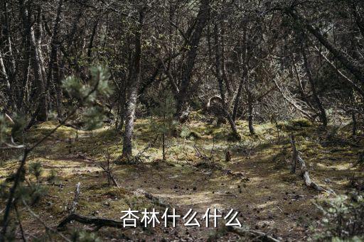 杏林什么什么