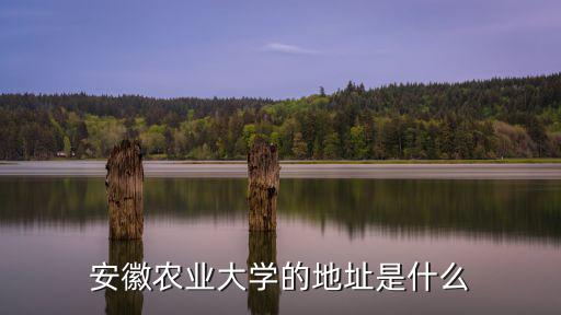 安徽農(nóng)業(yè)大學(xué)地址，安徽農(nóng)業(yè)大學(xué)的地址是什么