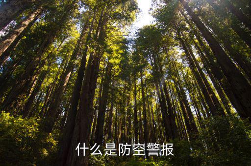 什么是防空警報
