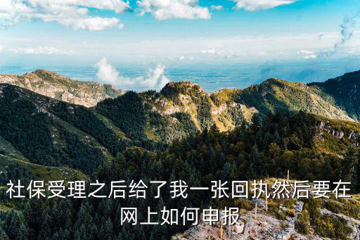 社保受理之后給了我一張回執(zhí)然后要在網(wǎng)上如何申報(bào)