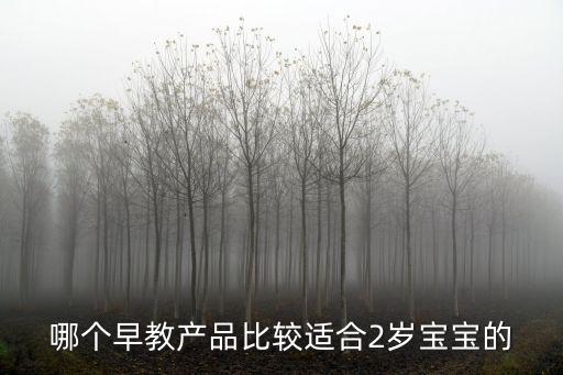 哪個(gè)早教產(chǎn)品比較適合2歲寶寶的